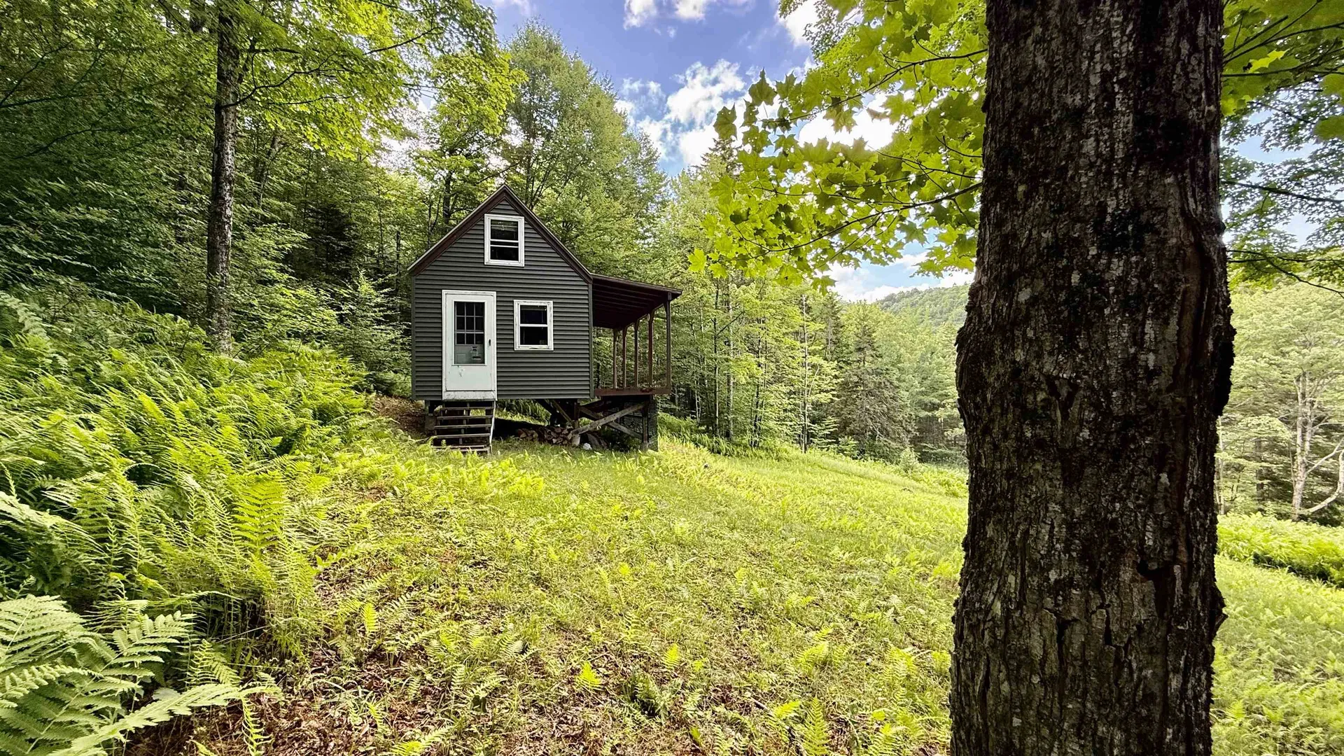 2075 Codding Hollow Road Johnson VT 05656