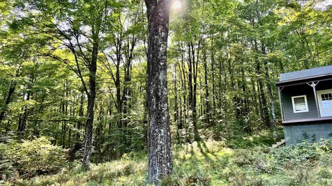 2075 Codding Hollow Road Johnson VT 05656