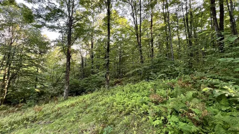 2075 Codding Hollow Road Johnson VT 05656