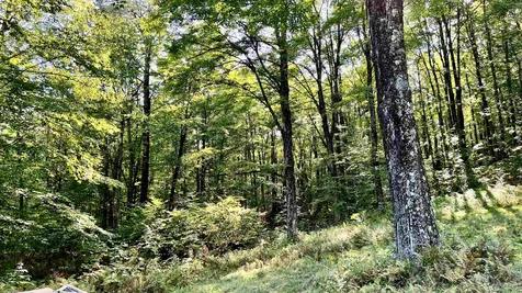 2075 Codding Hollow Road Johnson VT 05656
