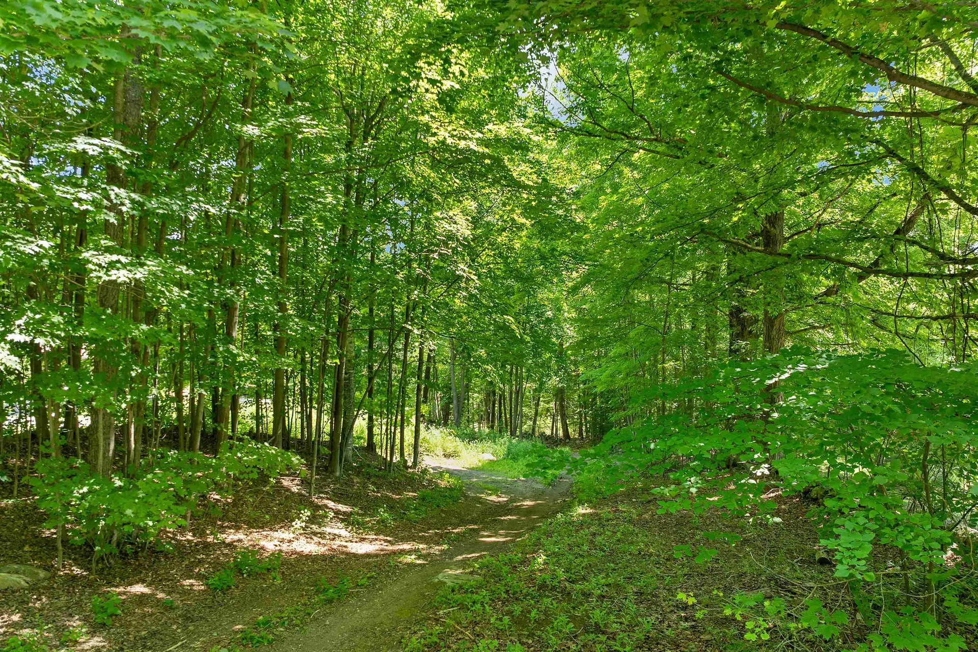 271 Walker Brook Road Mason NH 03071