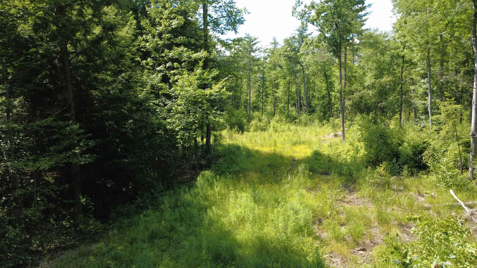 00 Foxtrot Road Farmington NH 03835