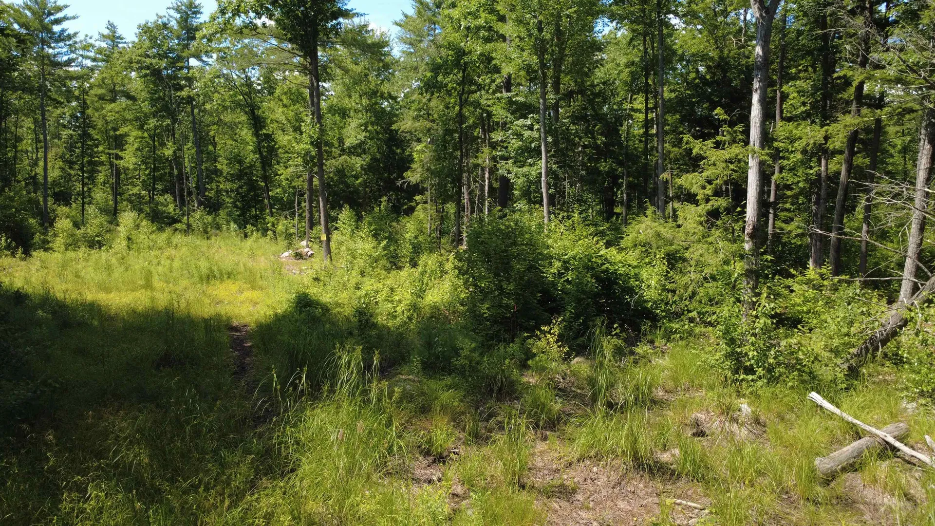 00 Foxtrot Road Farmington NH 03835