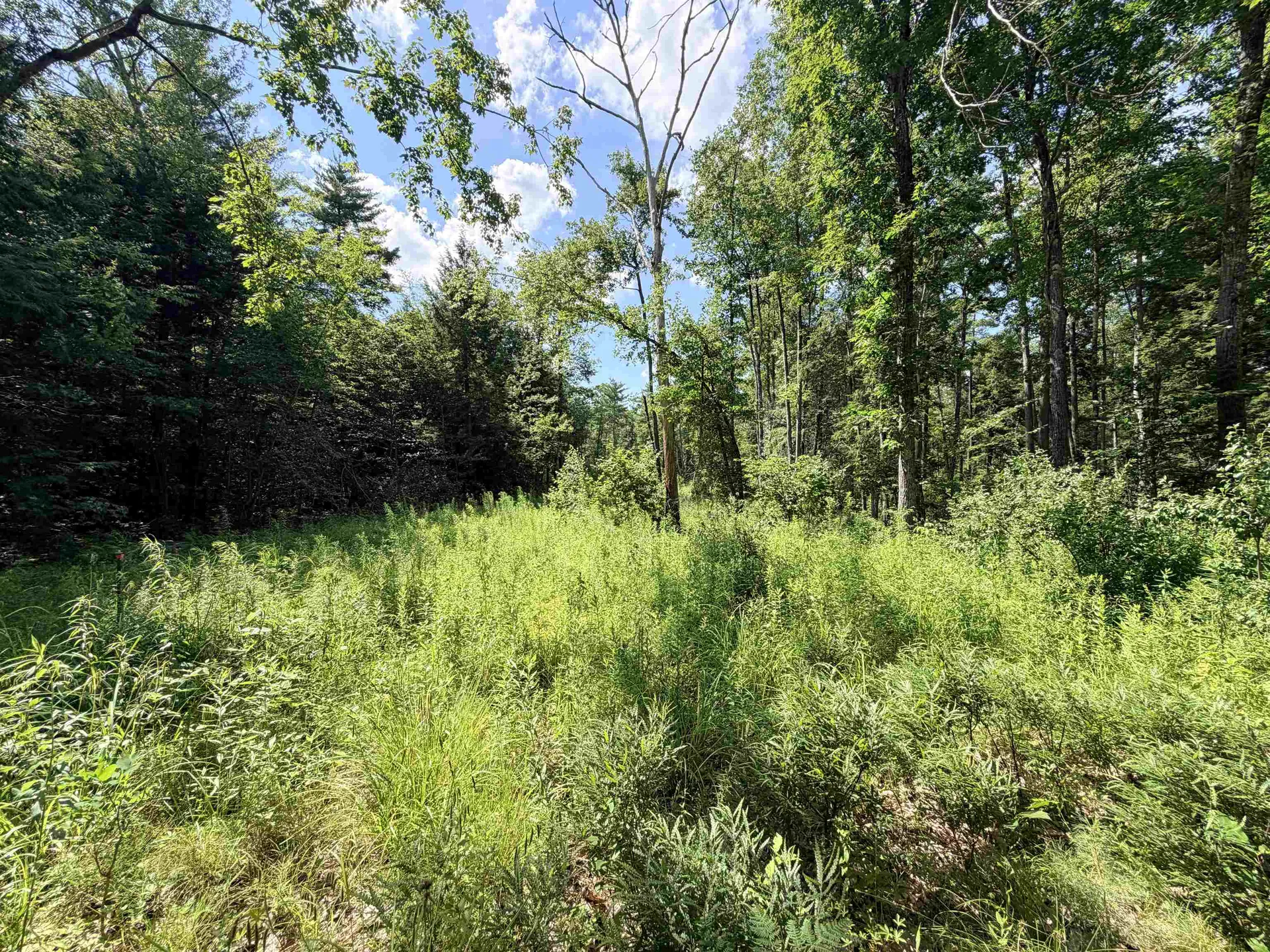 00 Foxtrot Road Farmington NH 03835