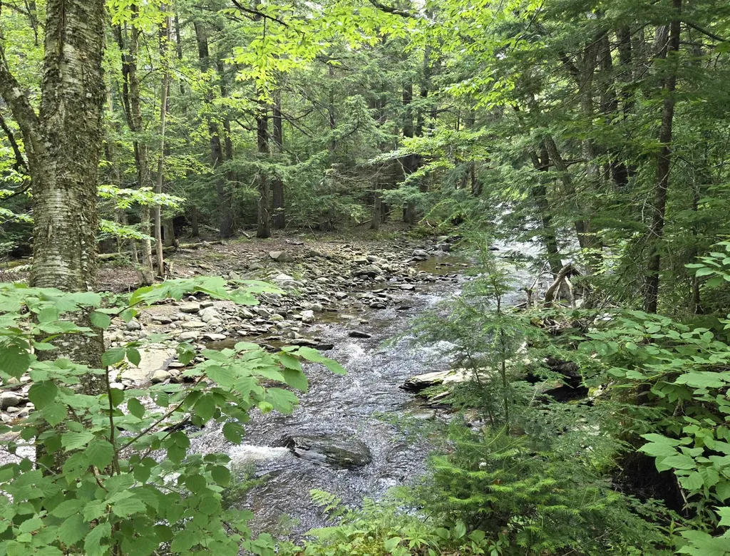 2 Tallwood Circle Londonderry VT 05148