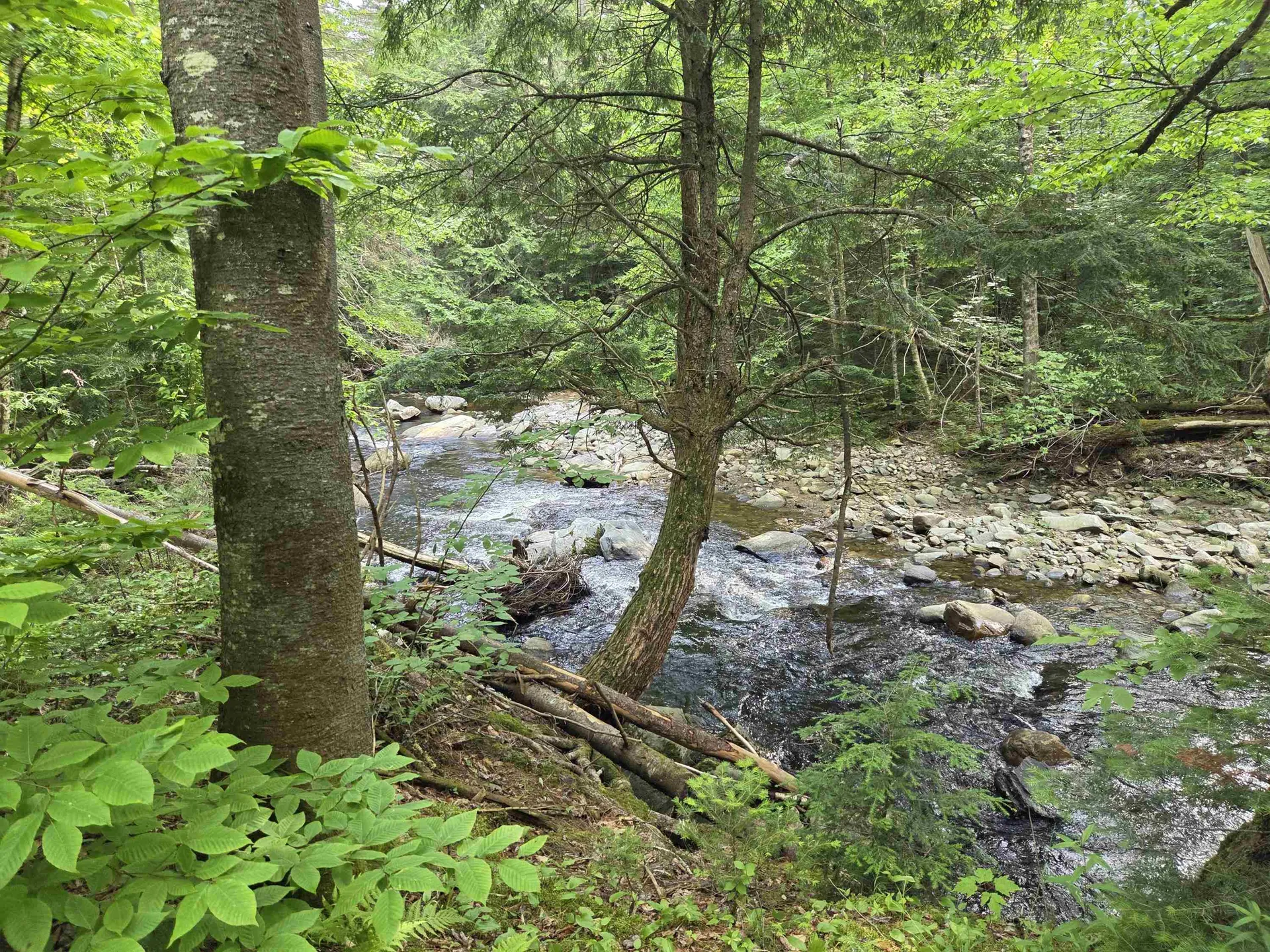 2 Tallwood Circle Londonderry VT 05148