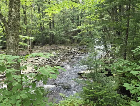 2 Tallwood Circle Londonderry VT 05148