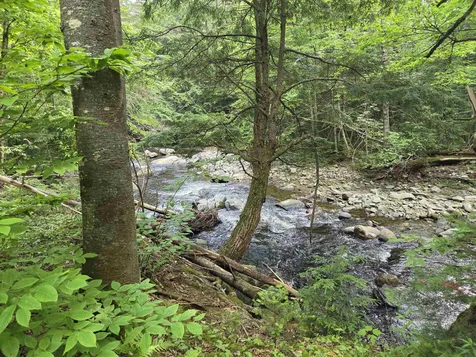 2 Tallwood Circle Londonderry VT 05148