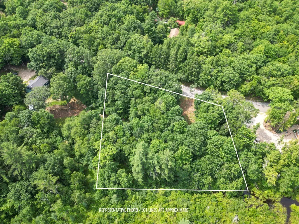 Map 401 Lot 18. Washington Hill Road Tamworth NH 03817