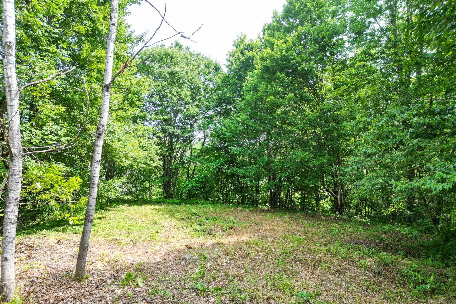 Map 401 Lot 18. Washington Hill Road Tamworth NH 03817