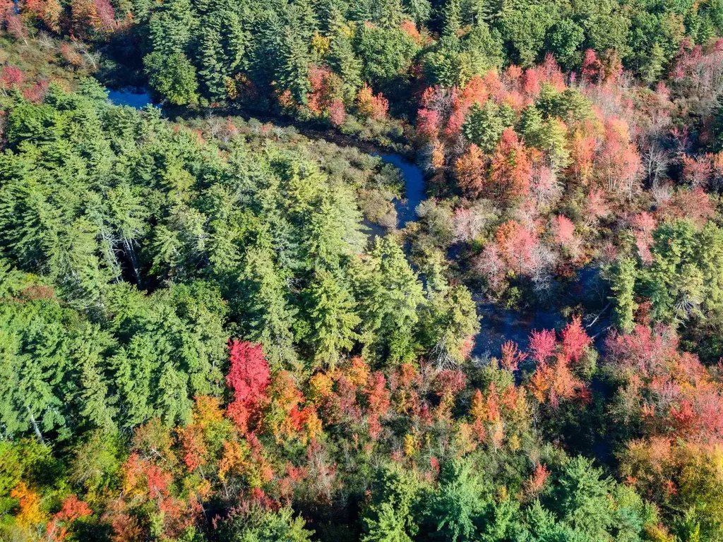 16 Williamsburg Drive Amherst NH 03031