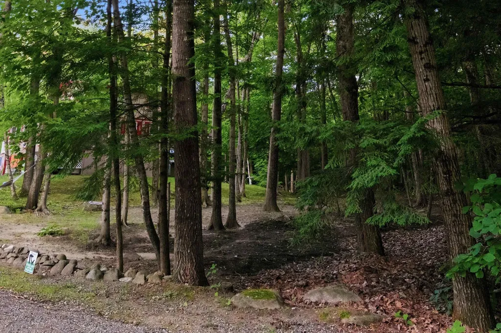 55 Mountain View Drive Moultonborough NH 03253