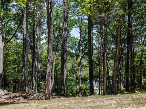 73 Baker Hill Road Sutton NH 03221
