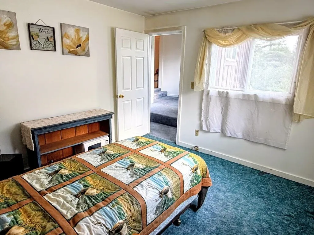 46 Donna Lane Washington VT 05675