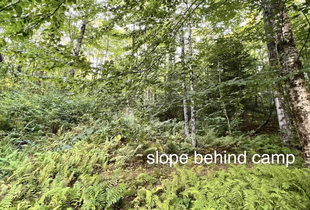2075 Codding Hollow Road Johnson VT 05656