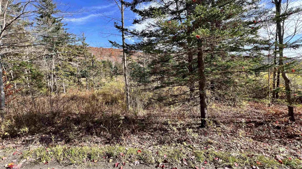 2075 Codding Hollow Road Johnson VT 05656