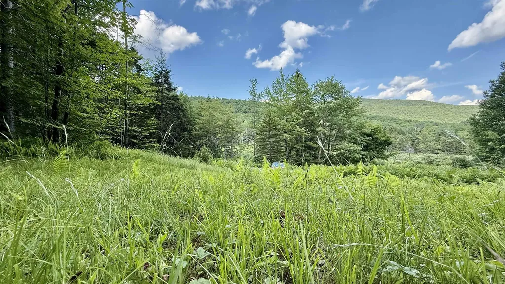 2075 Codding Hollow Road Johnson VT 05656