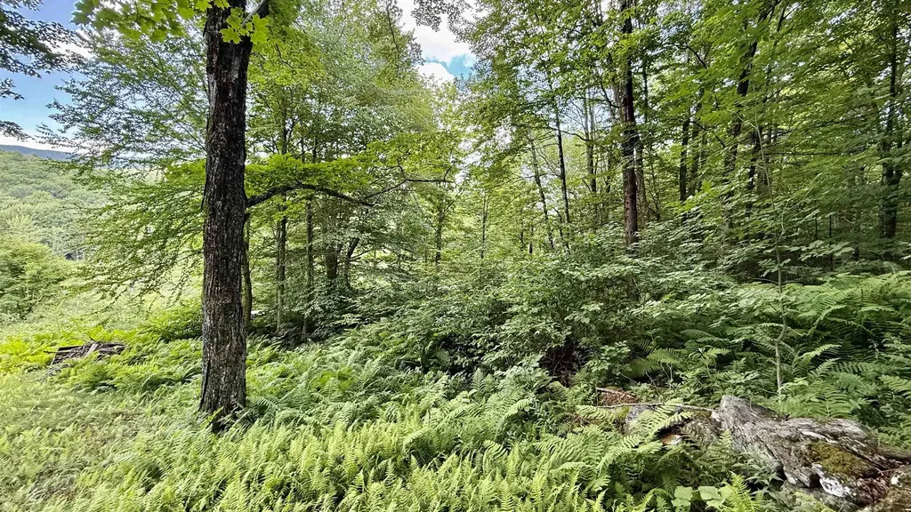 2075 Codding Hollow Road Johnson VT 05656