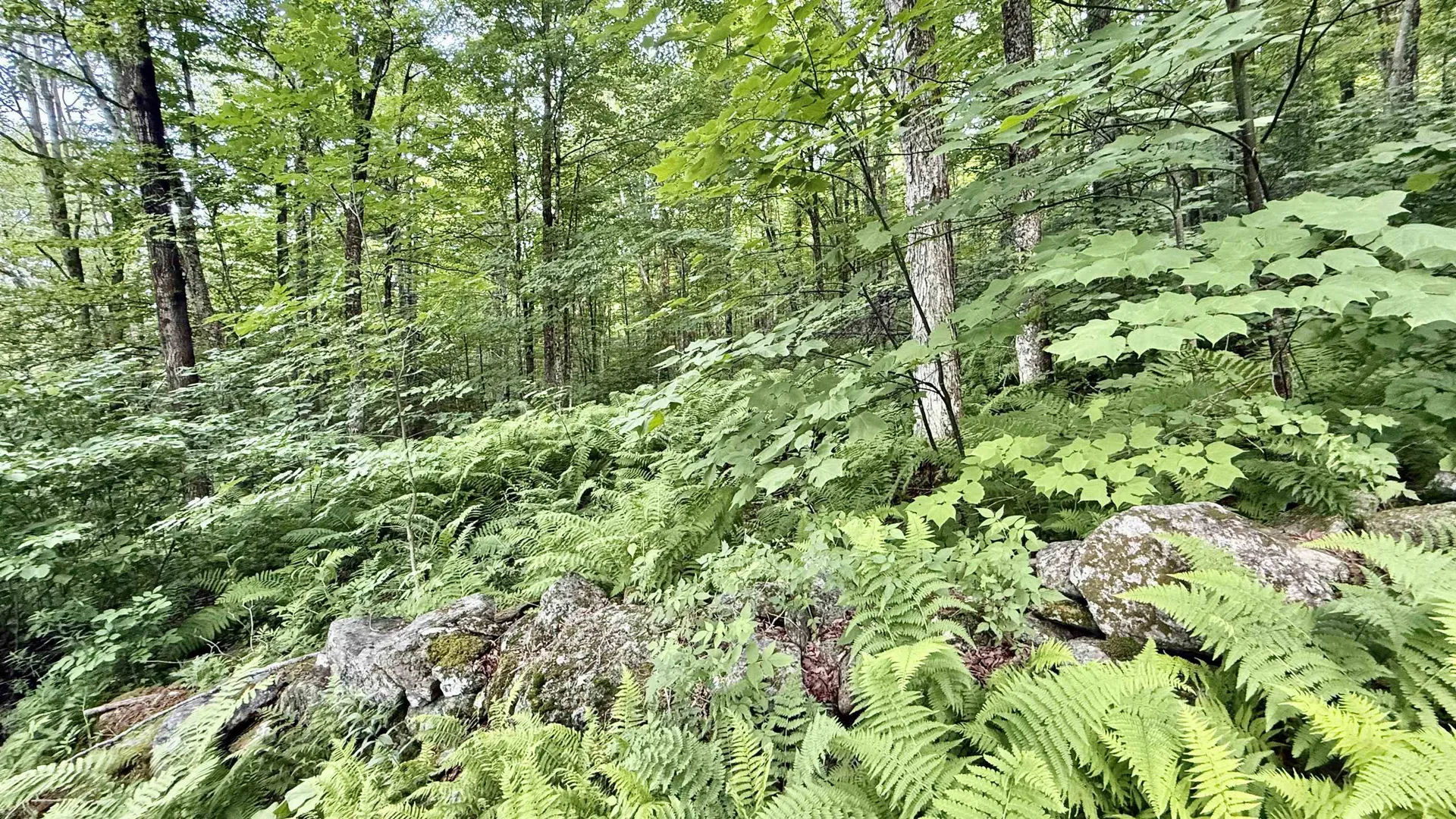 2075 Codding Hollow Road Johnson VT 05656