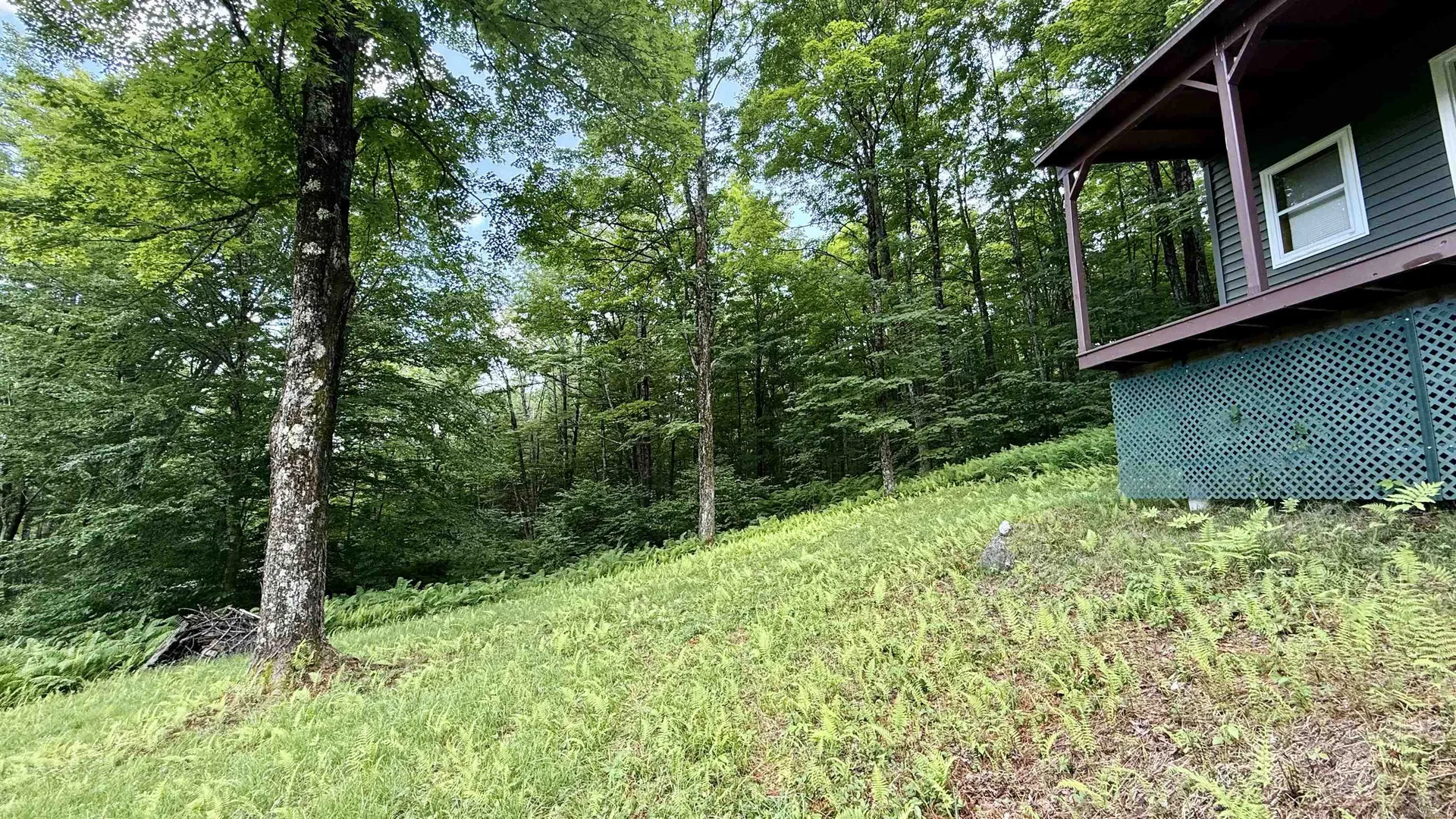 2075 Codding Hollow Road Johnson VT 05656
