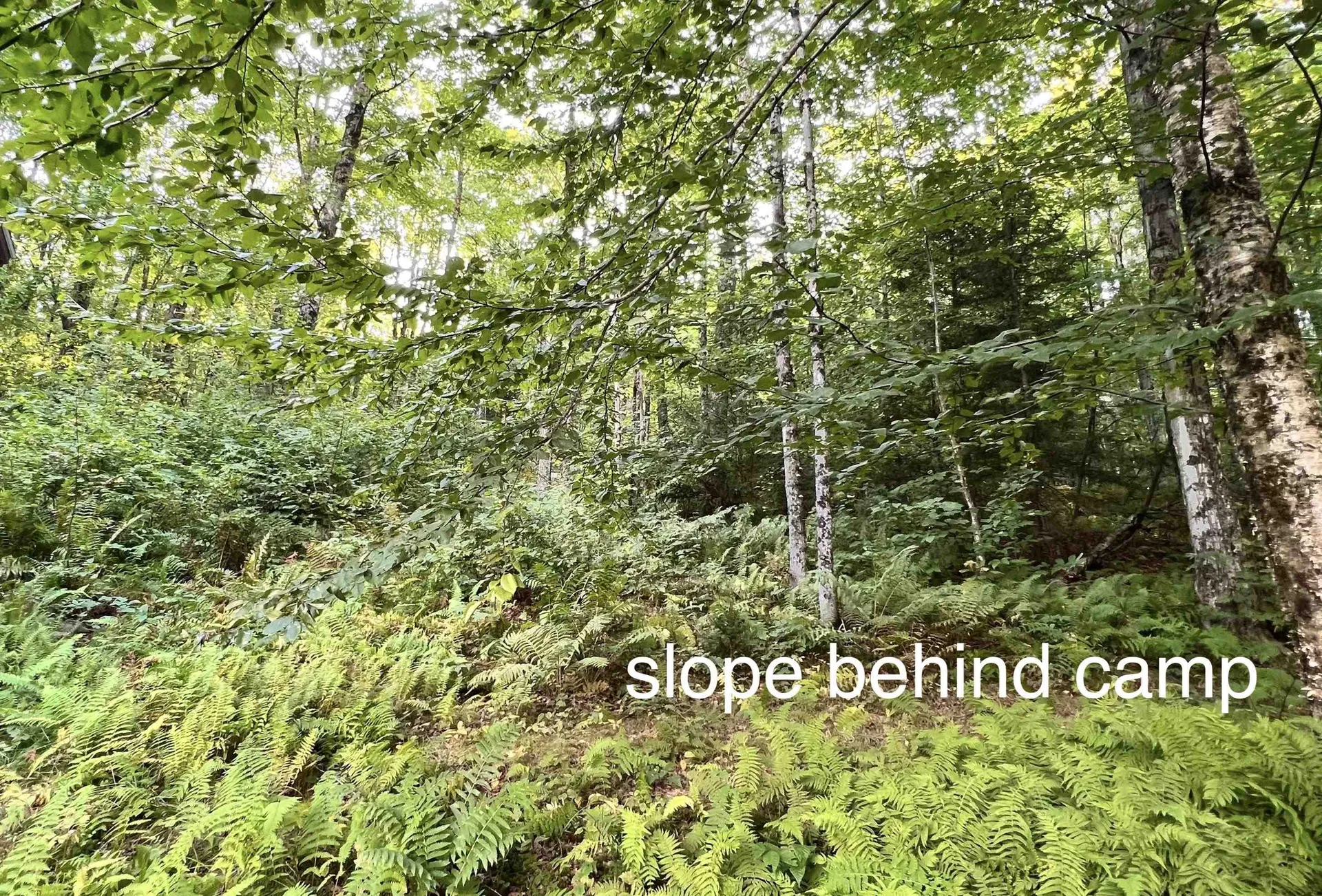 2075 Codding Hollow Road Johnson VT 05656
