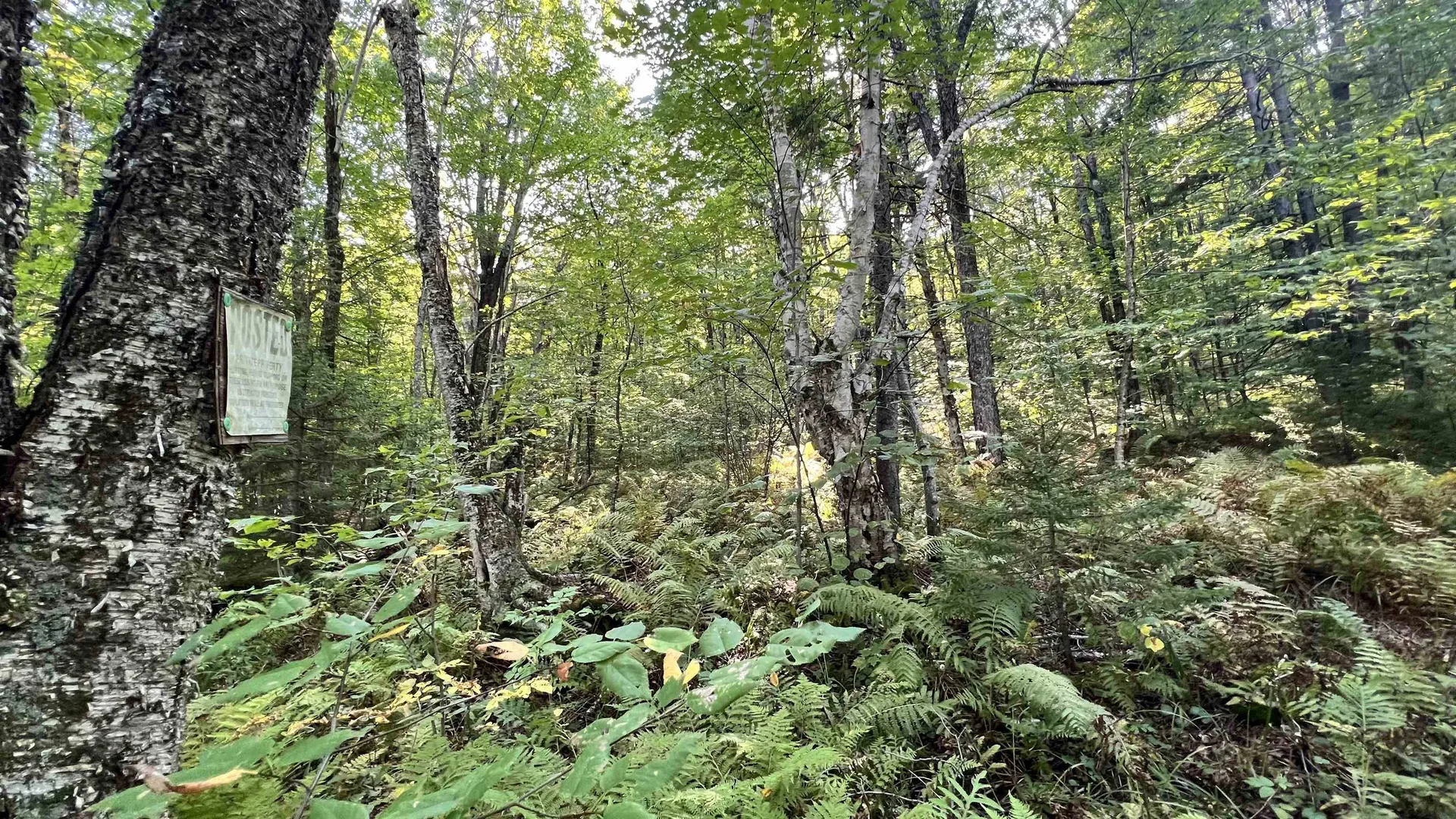 2075 Codding Hollow Road Johnson VT 05656