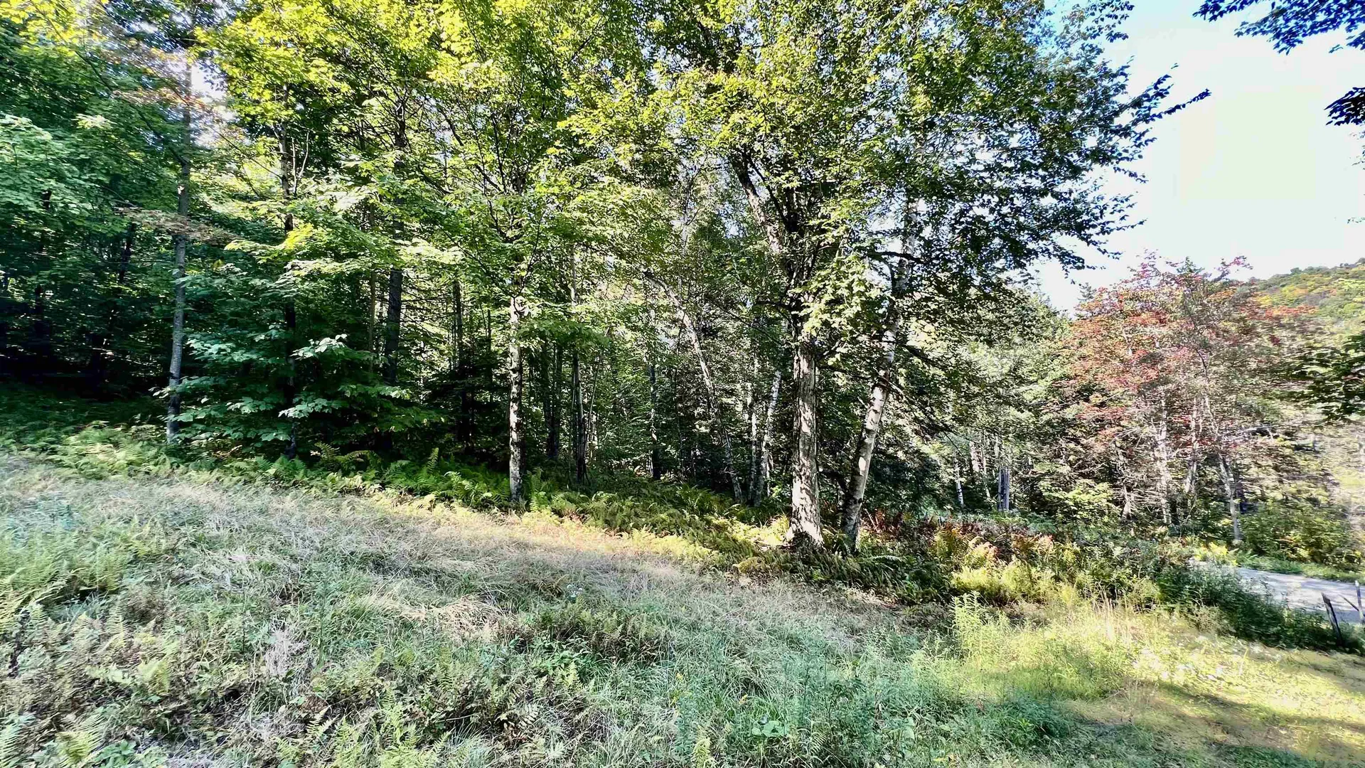 2075 Codding Hollow Road Johnson VT 05656