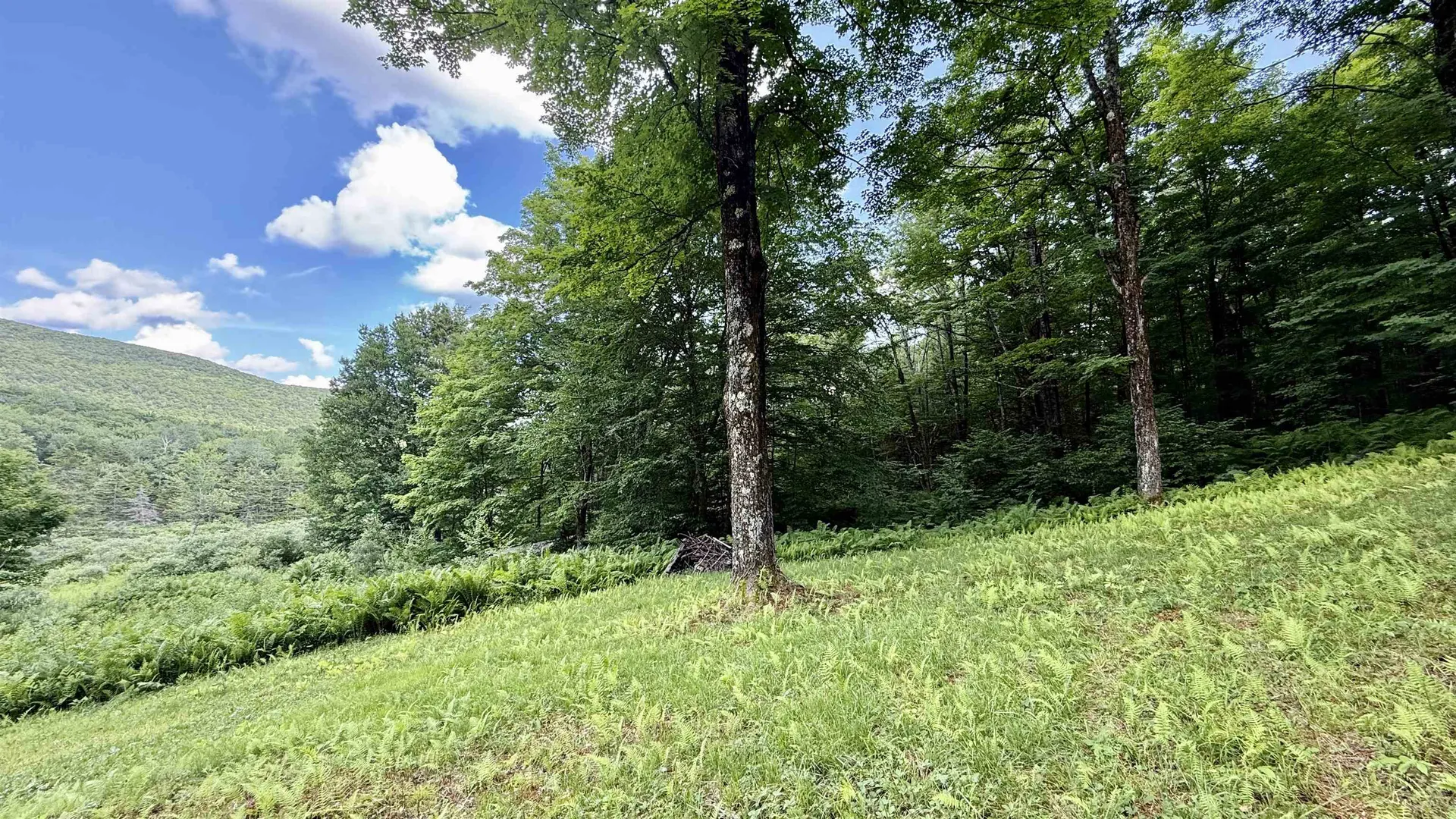 2075 Codding Hollow Road Johnson VT 05656