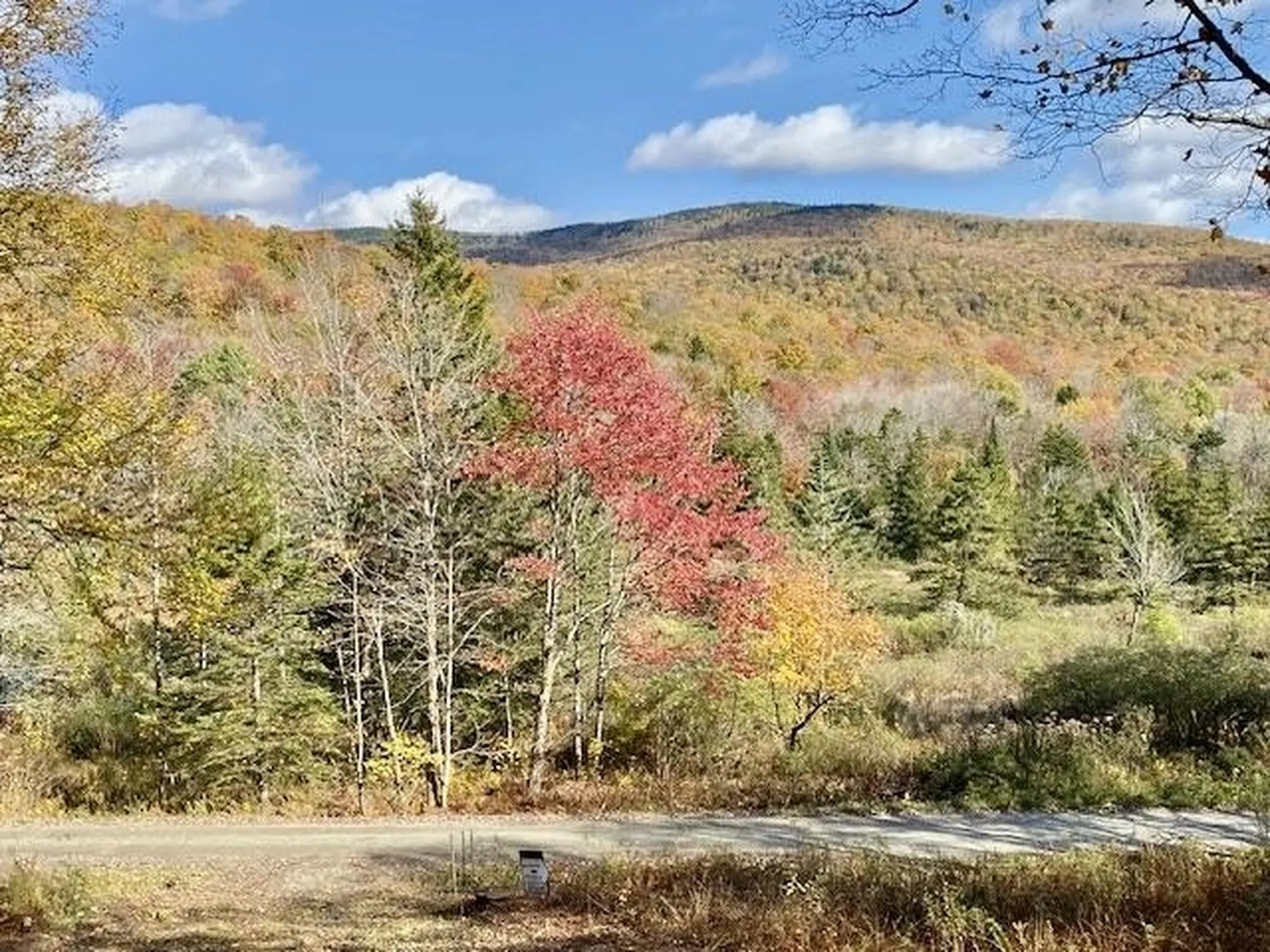 2075 Codding Hollow Road Johnson VT 05656