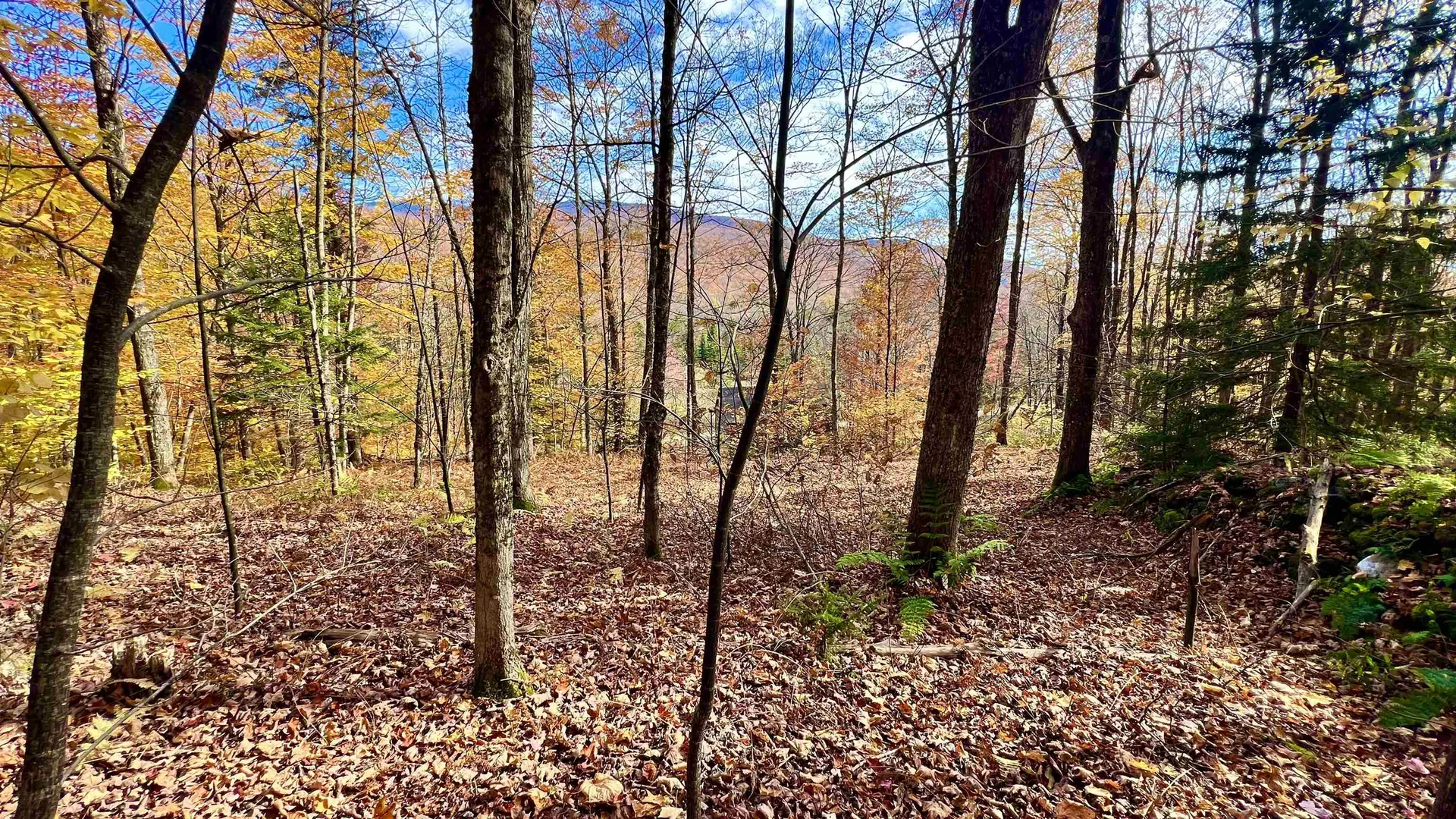 2075 Codding Hollow Road Johnson VT 05656