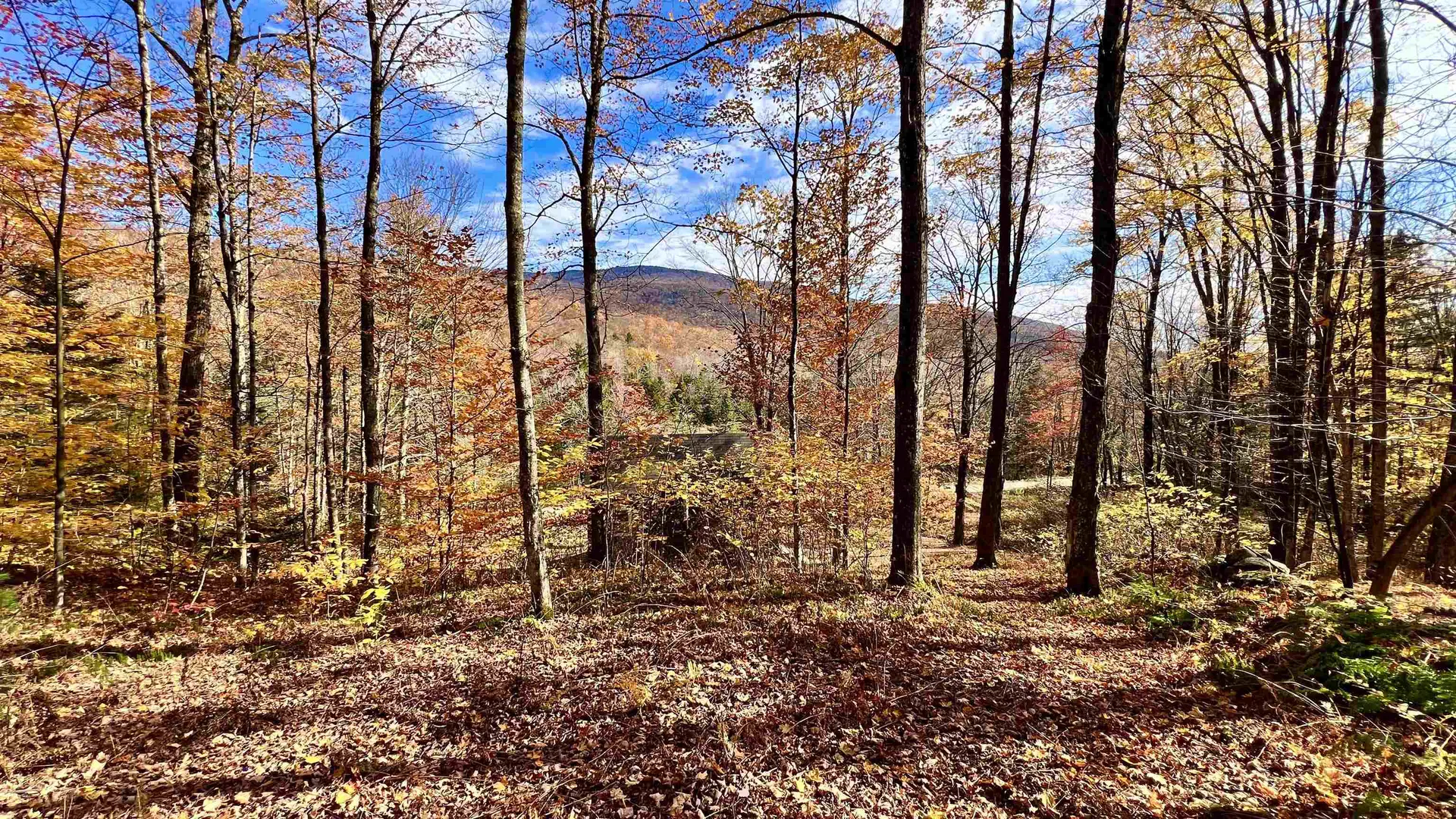 2075 Codding Hollow Road Johnson VT 05656