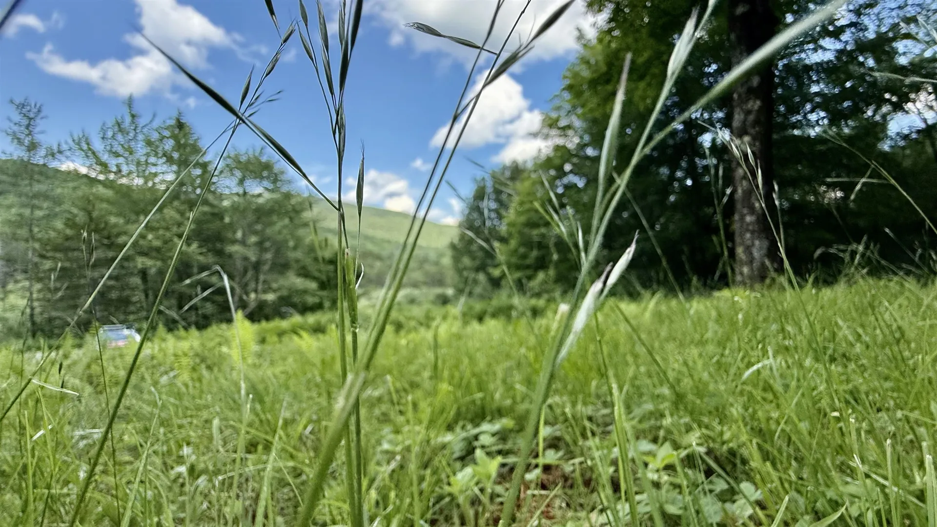 2075 Codding Hollow Road Johnson VT 05656