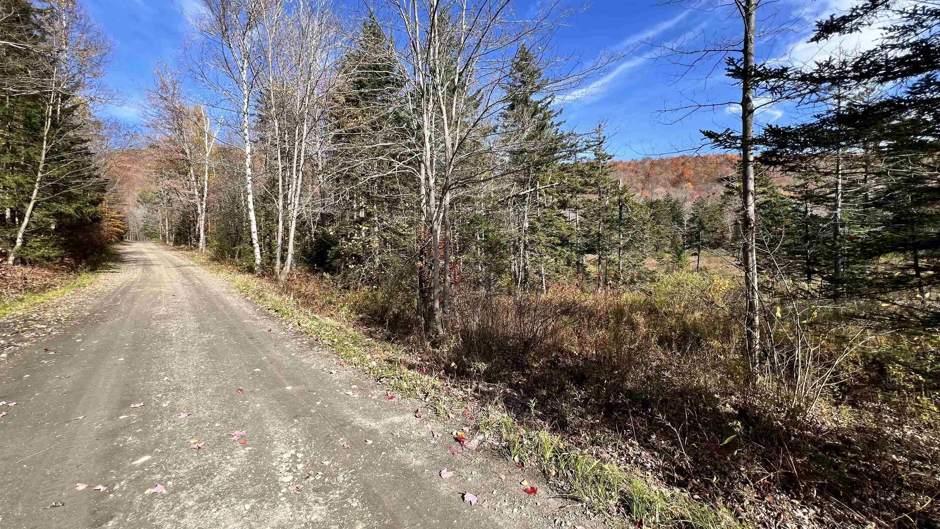 2075 Codding Hollow Road Johnson VT 05656