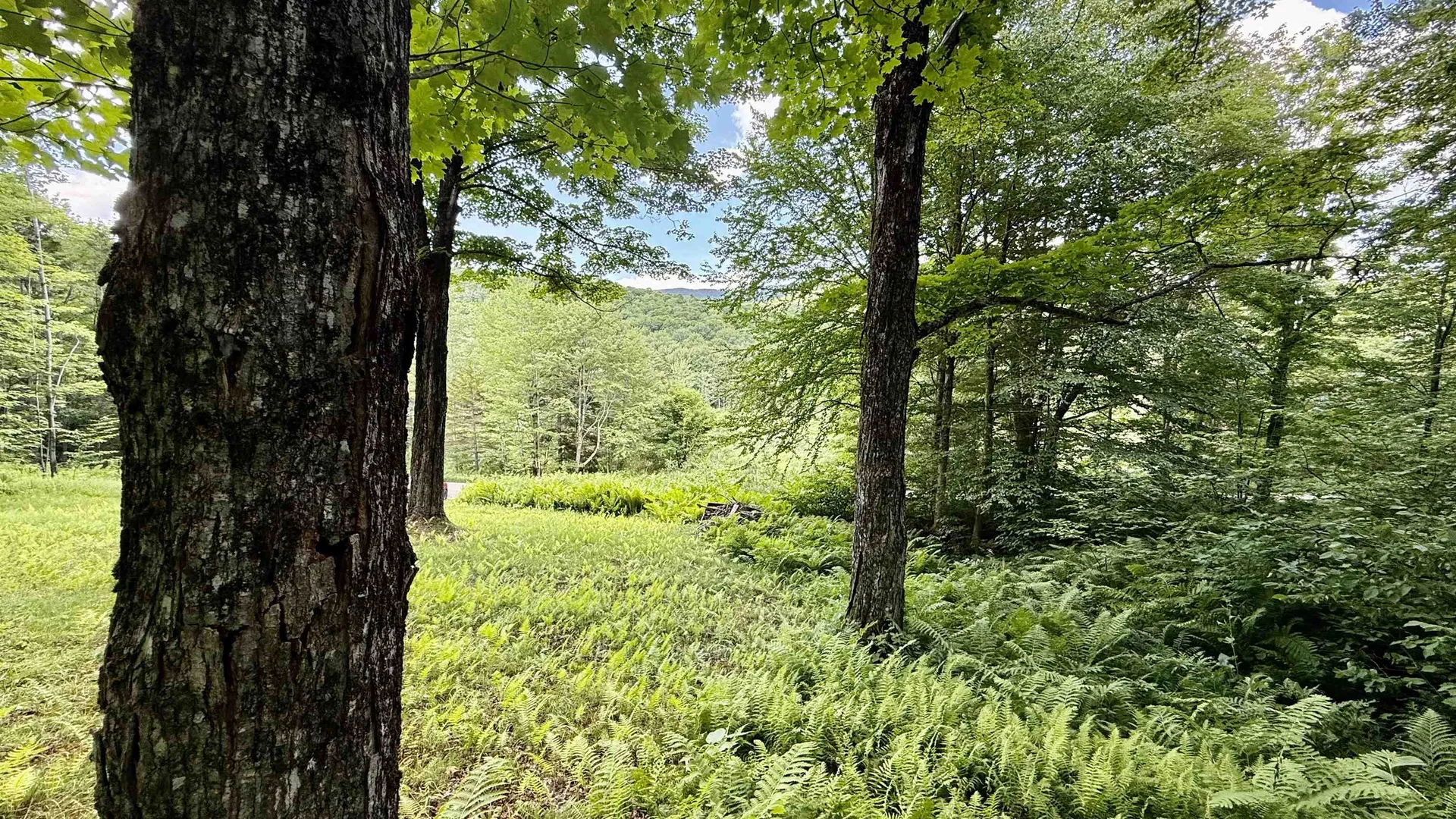 2075 Codding Hollow Road Johnson VT 05656