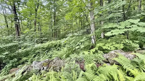 2075 Codding Hollow Road Johnson VT 05656