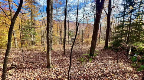 2075 Codding Hollow Road Johnson VT 05656