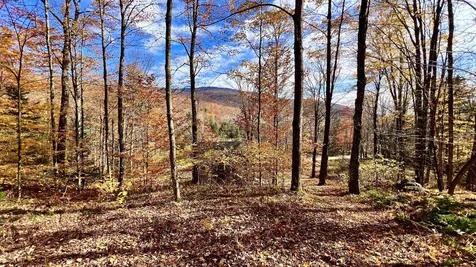 2075 Codding Hollow Road Johnson VT 05656