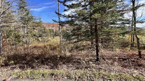 2075 Codding Hollow Road Johnson VT 05656