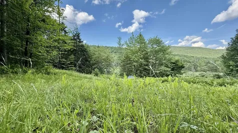 2075 Codding Hollow Road Johnson VT 05656
