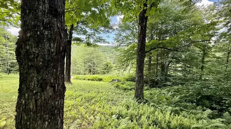 2075 Codding Hollow Road Johnson VT 05656