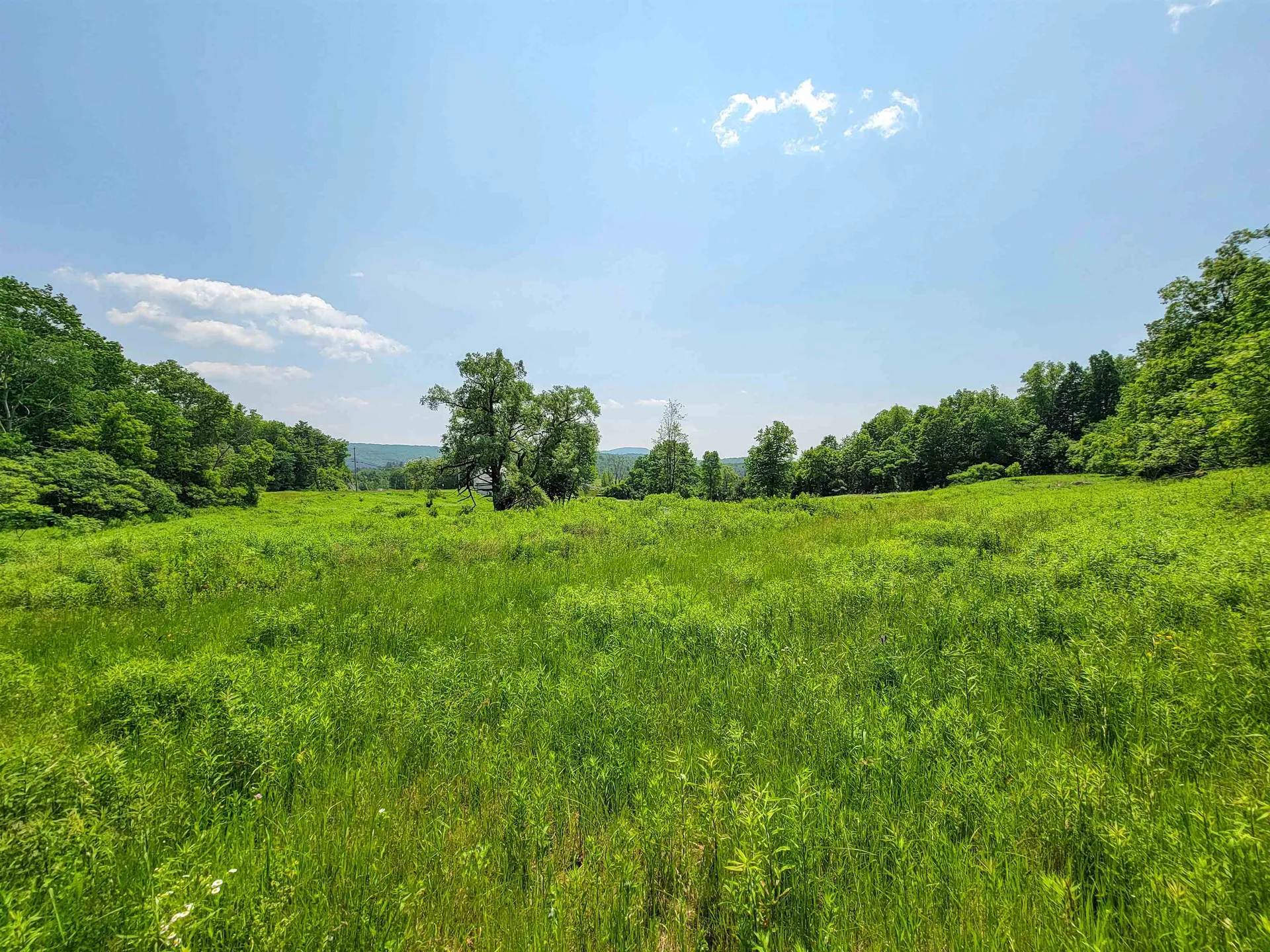 21 Nickerson Road Brandon VT 05733