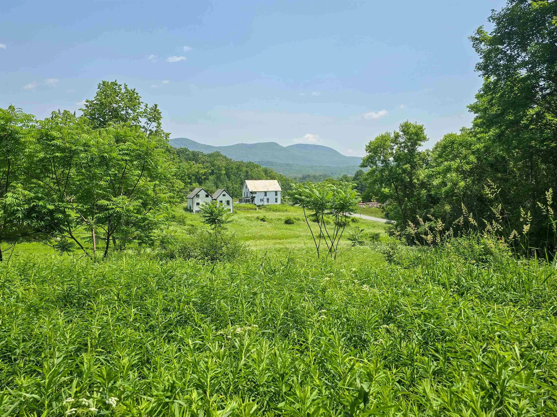 21 Nickerson Road Brandon VT 05733