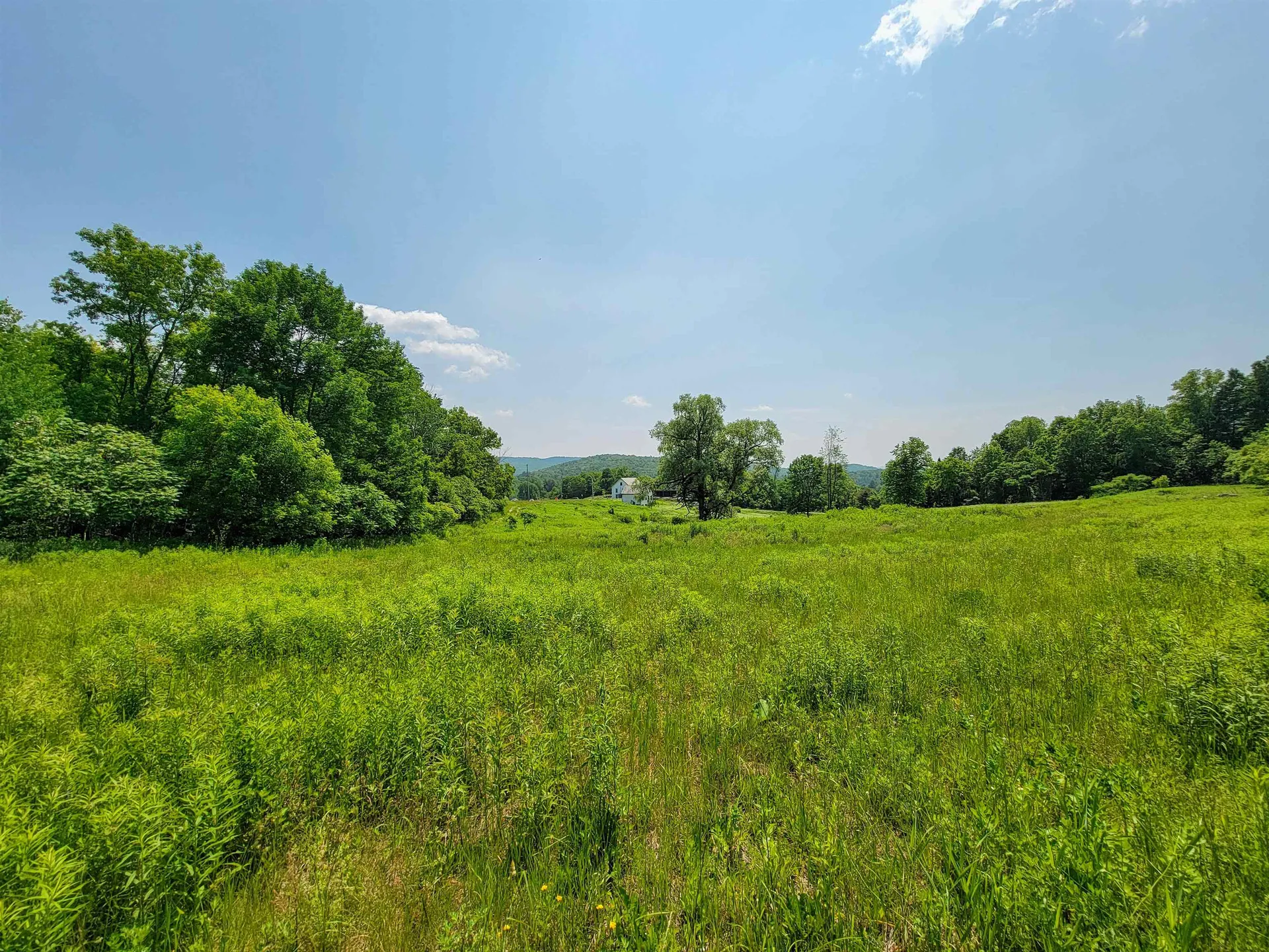 21 Nickerson Road Brandon VT 05733