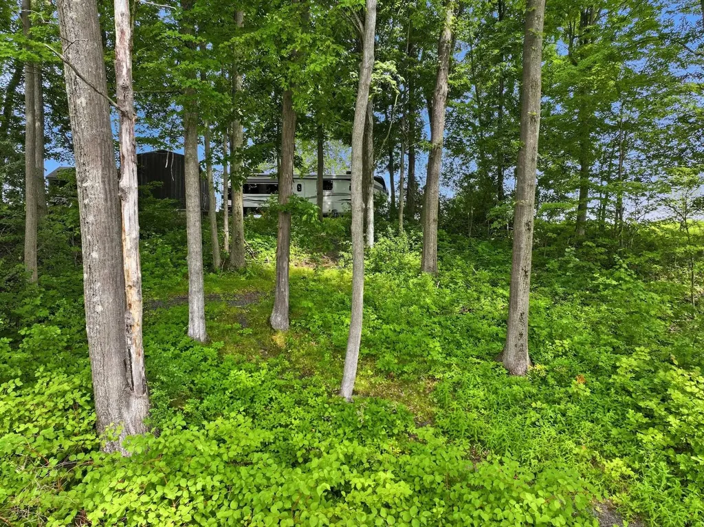 364 Delong Lane Shoreham VT 05734