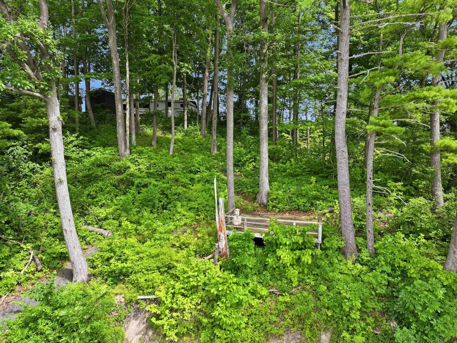 364 Delong Lane Shoreham VT 05734