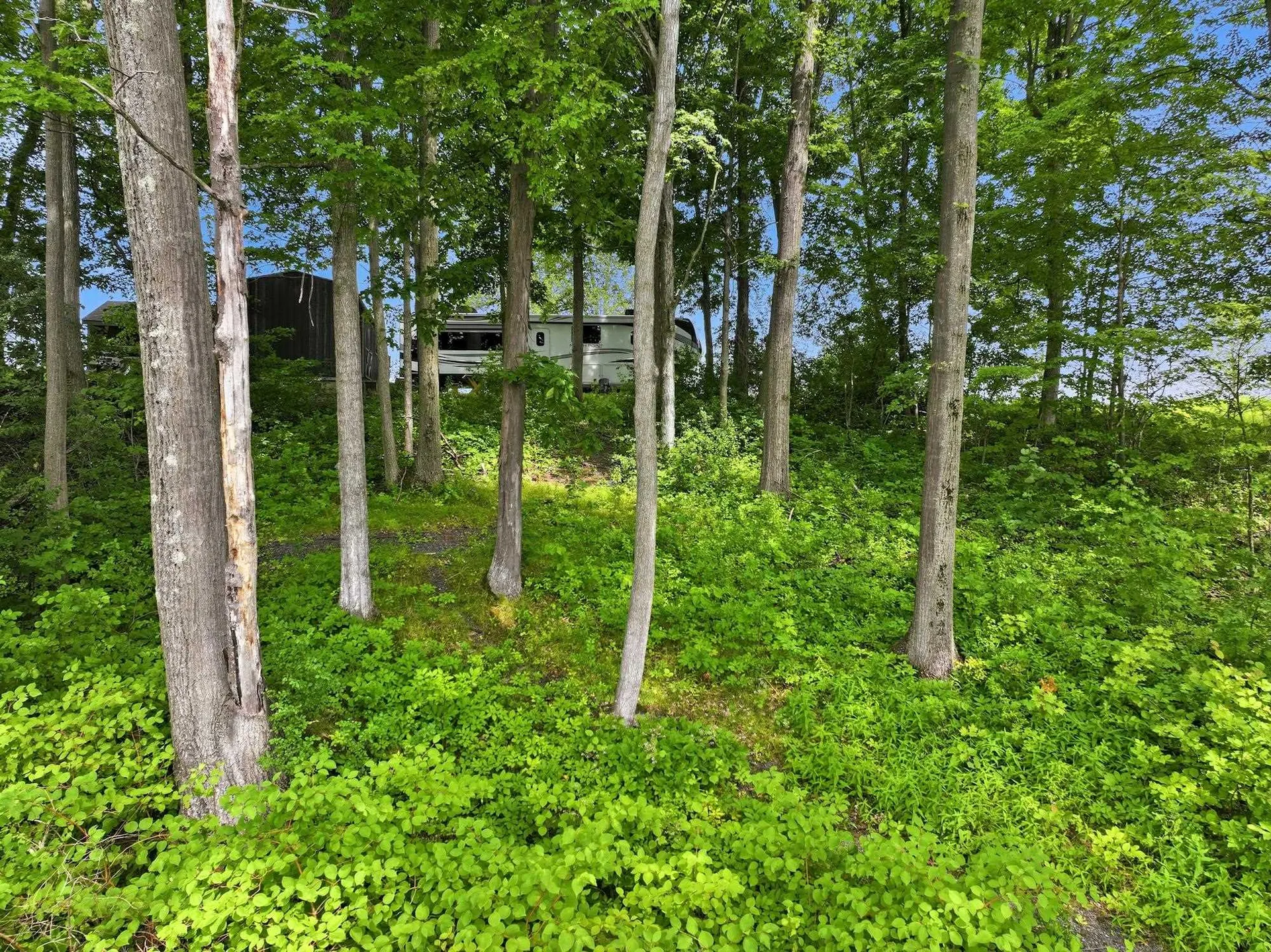364 Delong Lane Shoreham VT 05734