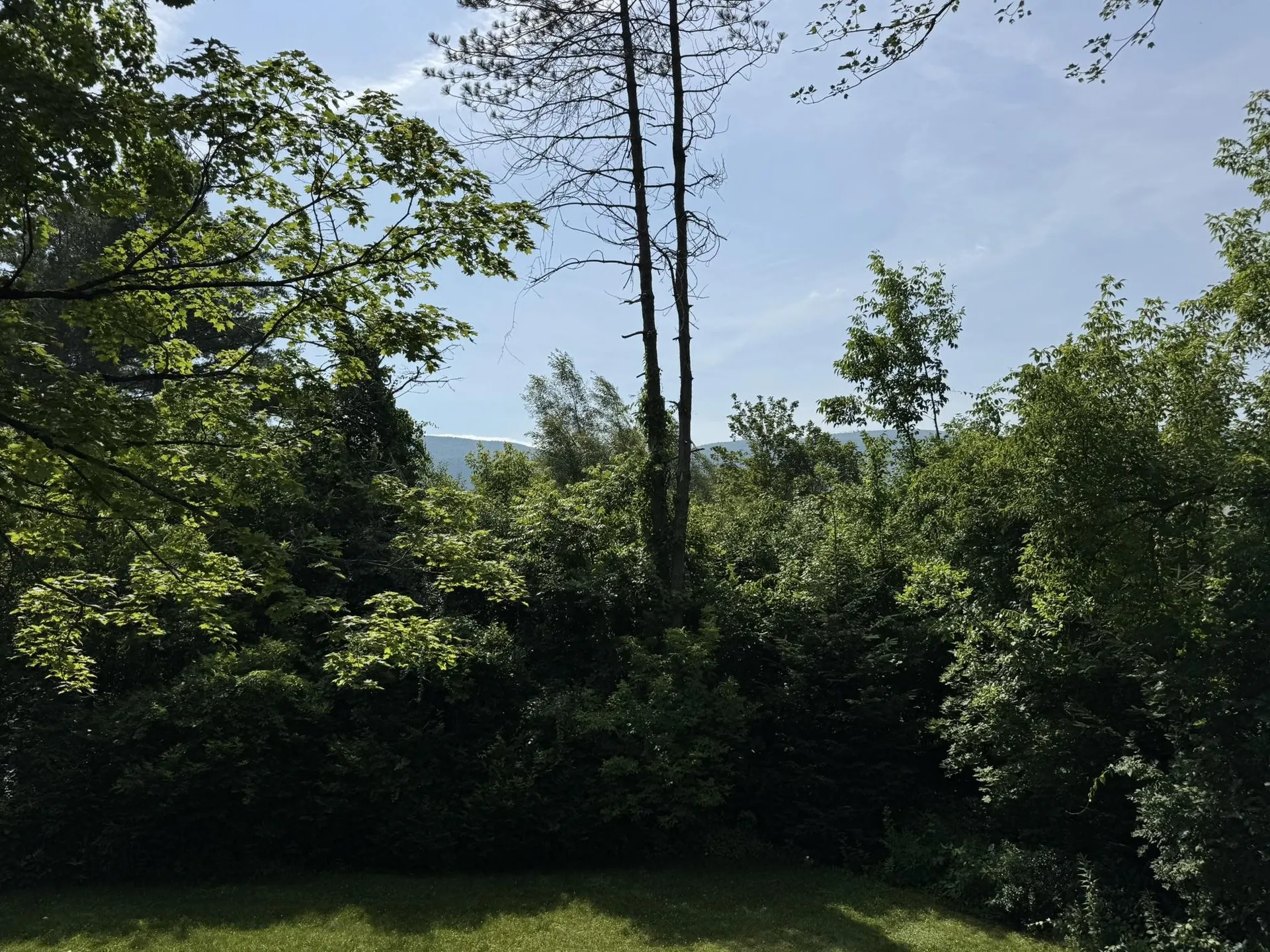 80 Murray Hill South Road Manchester VT 05255