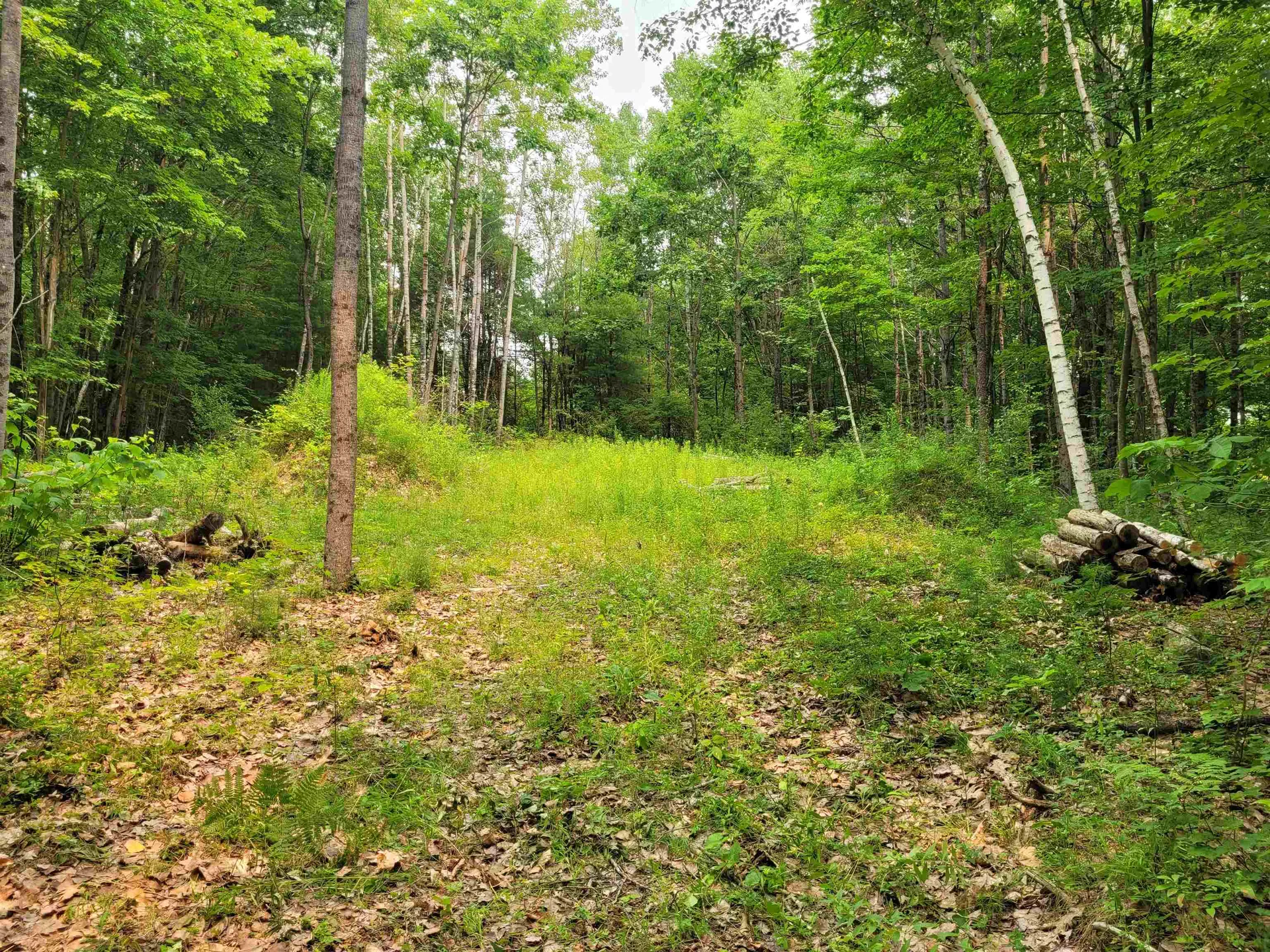 54 Fullam Pond Road Winchester NH 03470