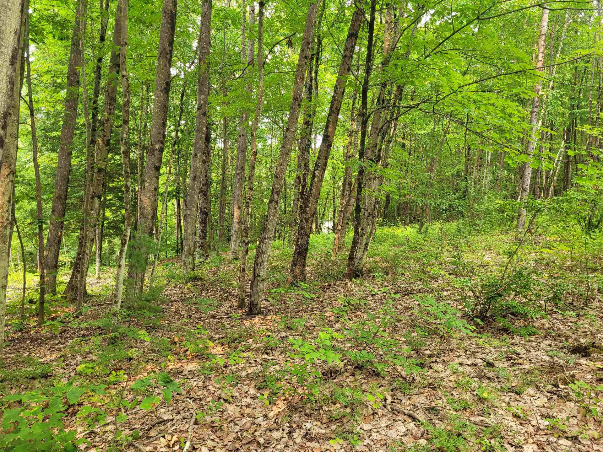 54 Fullam Pond Road Winchester NH 03470