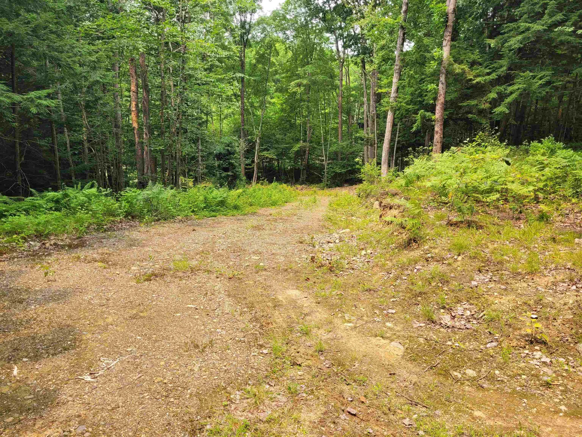 54 Fullam Pond Road Winchester NH 03470